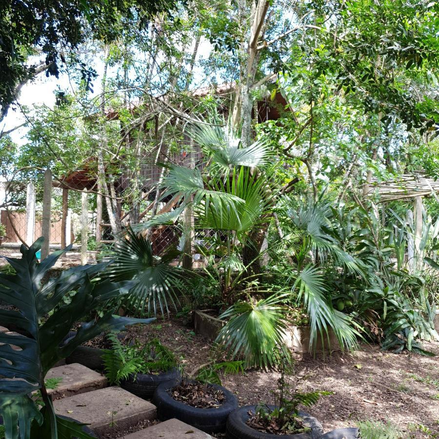 Cantinho Do Ceu - Espaco Ecologico 圣代佩德罗 外观 照片